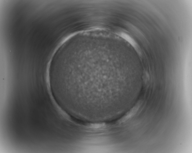 X0000088401055200706051132