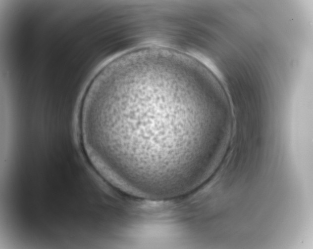 X0000088401056200706051132