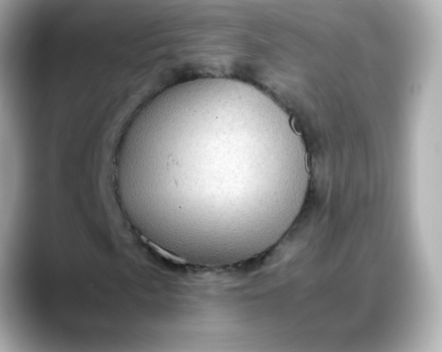 X0000088401057200706051132