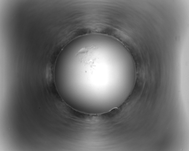 X0000088401058200706051132