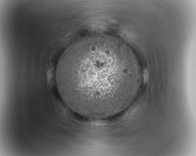 X0000088401059200706051132