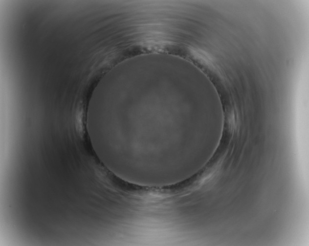 X0000088401060200706051132