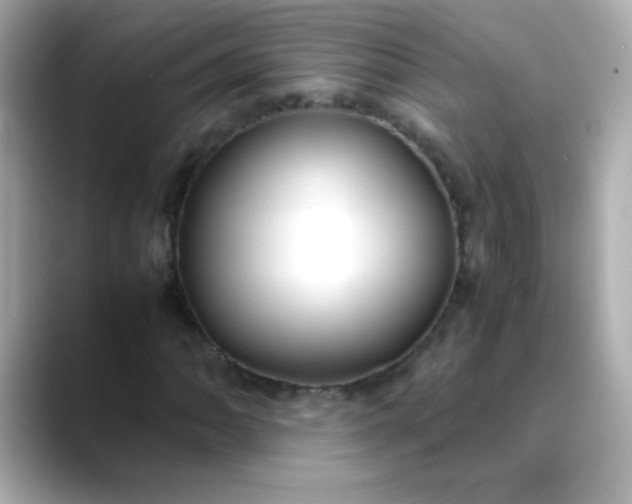 X0000088401062200706051132