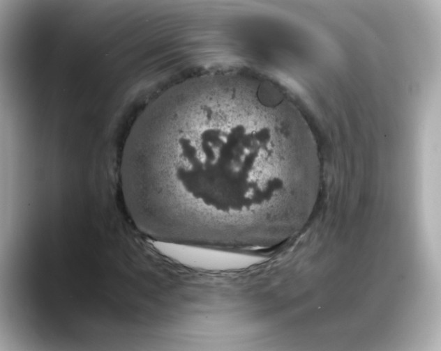 X0000088401063200706051132