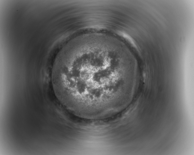 X0000088401064200706051132