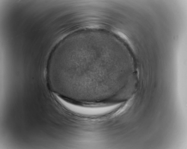 X0000088401065200706051132