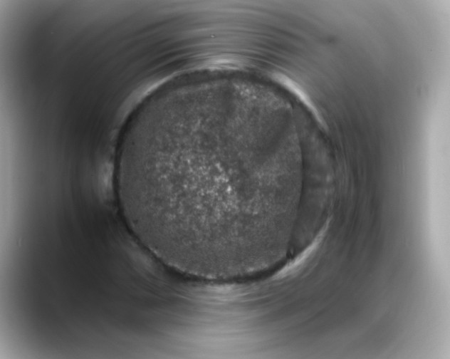 X0000088401066200706051132