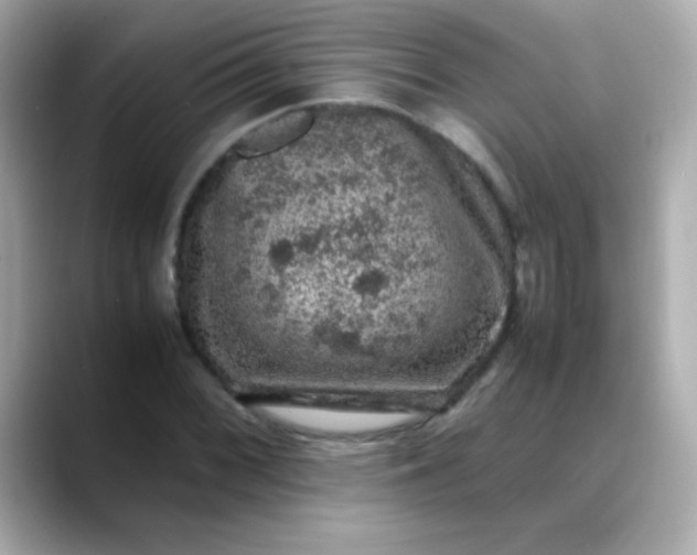 X0000088401068200706051132