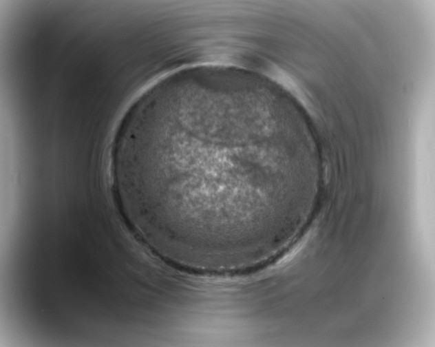 X0000088401069200706051132