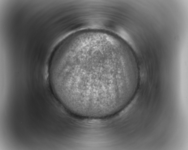 X0000088401070200706051132