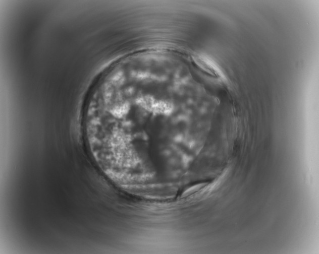 X0000088401071200706051131