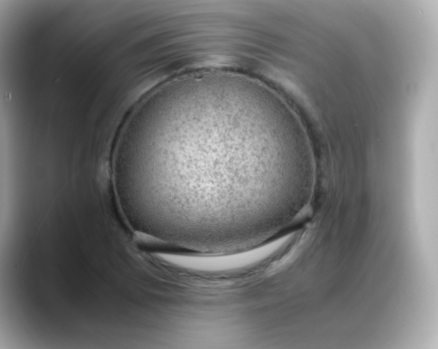 X0000088401073200706051131