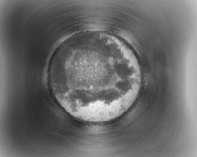 X0000088401074200706051131