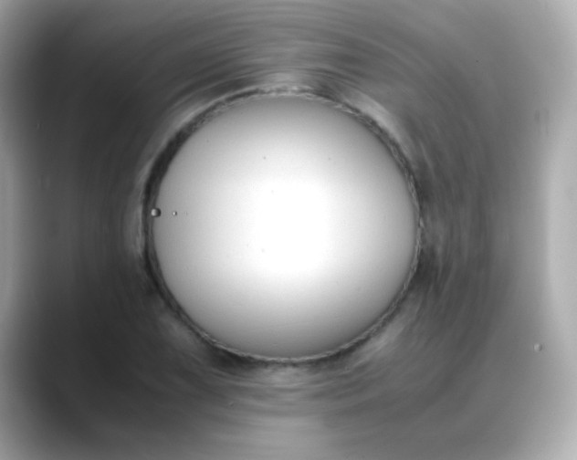 X0000088401075200706051131