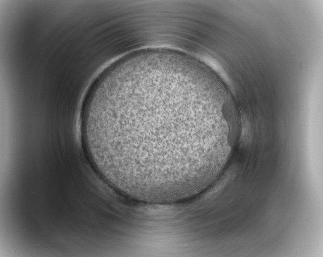 X0000088401076200706051131