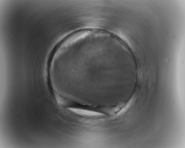 X0000088401077200706051131