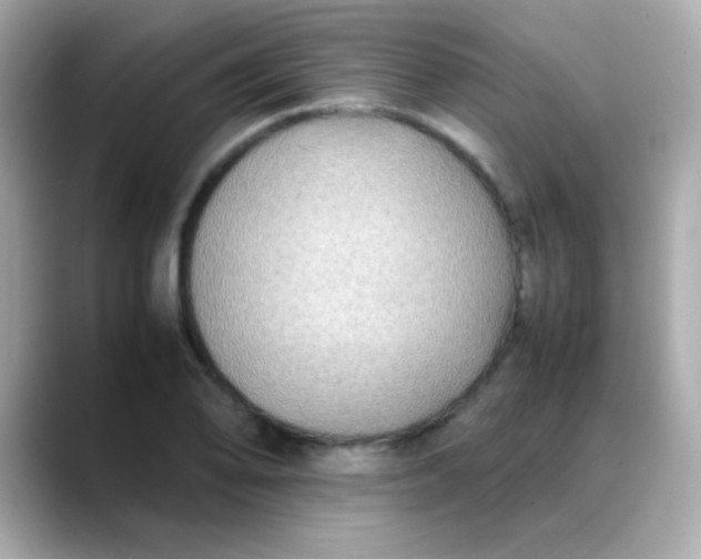 X0000088401078200706051131