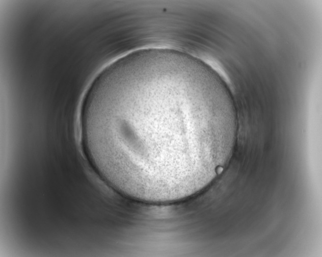 X0000088401080200706051131