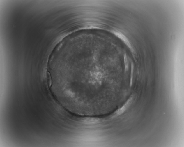 X0000088401081200706051131