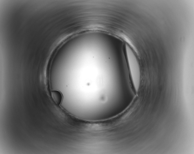 X0000088401082200706051131