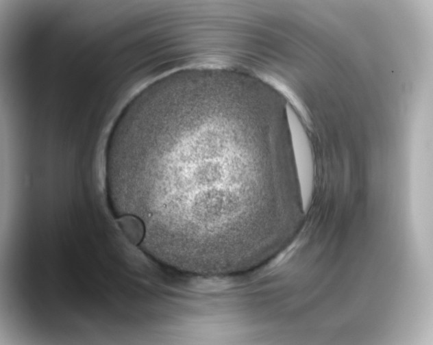 X0000088401083200706051131