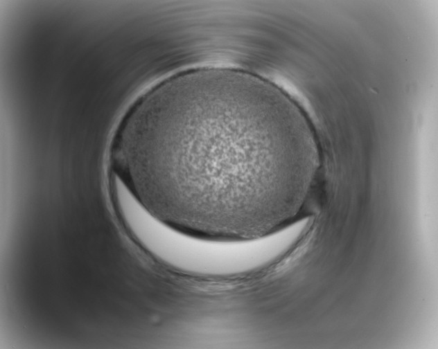 X0000088401085200706051131