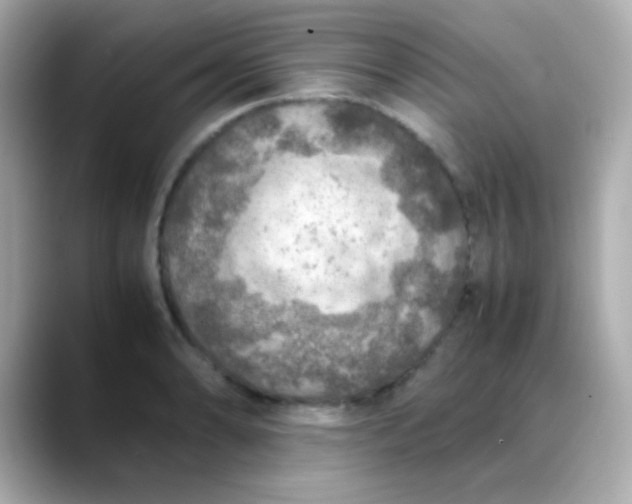 X0000088401086200706051131