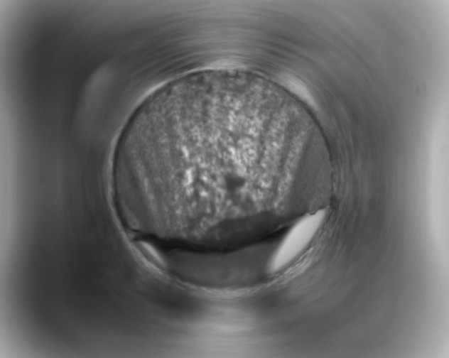 X0000088401087200706051131