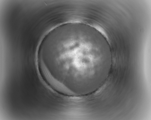 X0000088401088200706051131