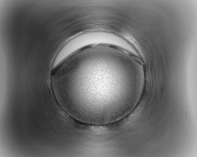 X0000088401089200706051131