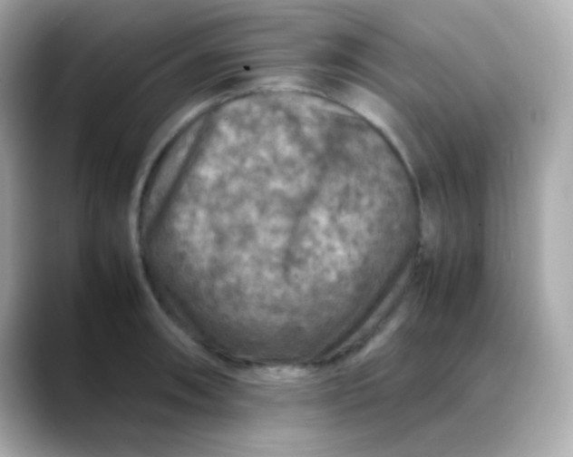 X0000088401090200706051131