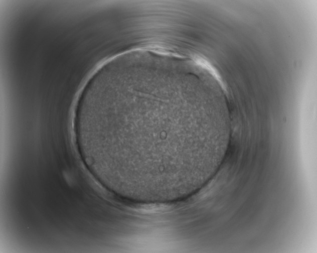 X0000088401091200706051131