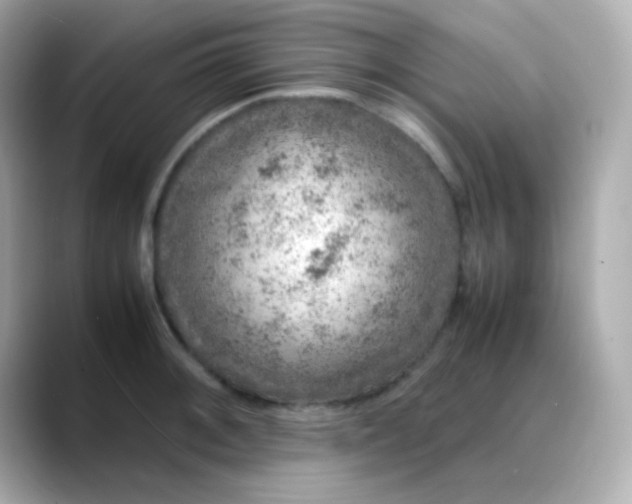 X0000088401092200706051131