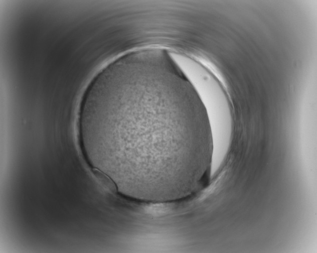 X0000088401093200706051131