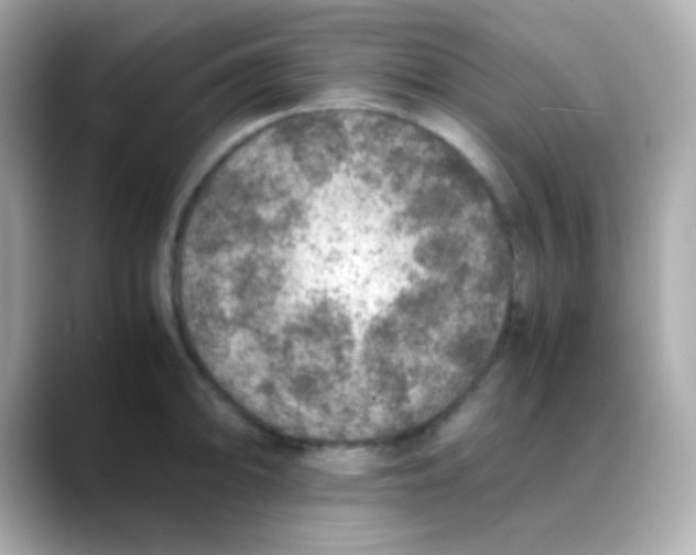 X0000088401094200706051131