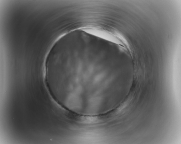 X0000088401095200706051131