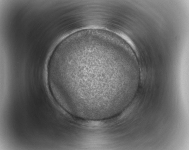 X0000088401096200706051131