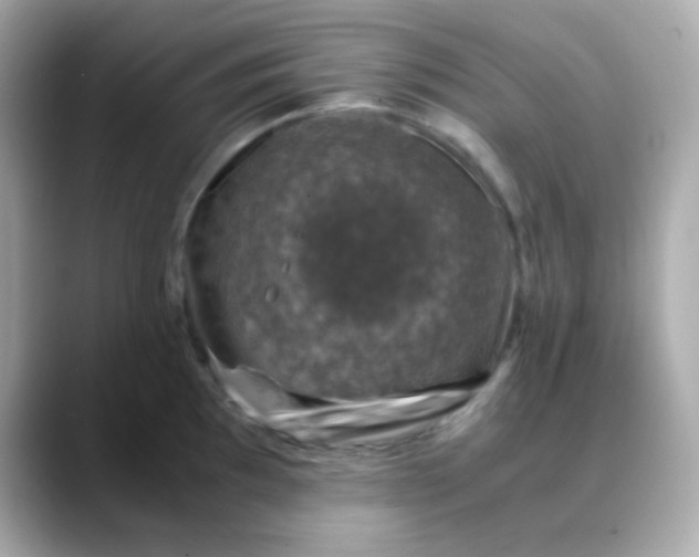 X0000088401097200706051131