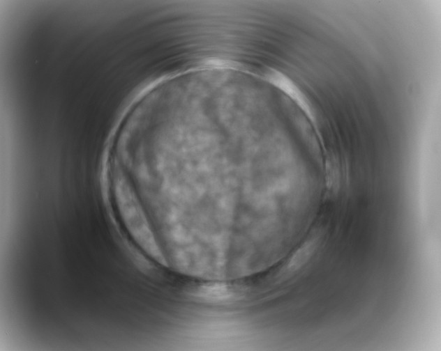 X0000088401098200706051131