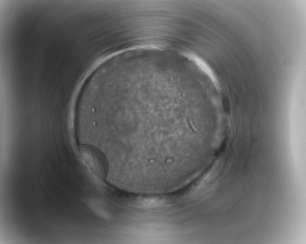 X0000088401099200706051131