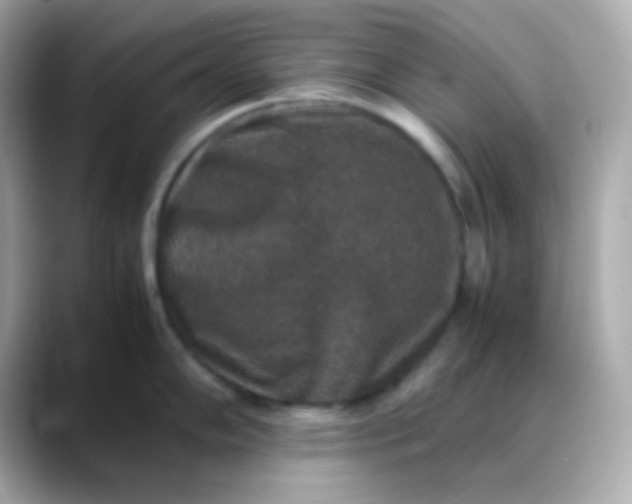 X0000088401102200706051131