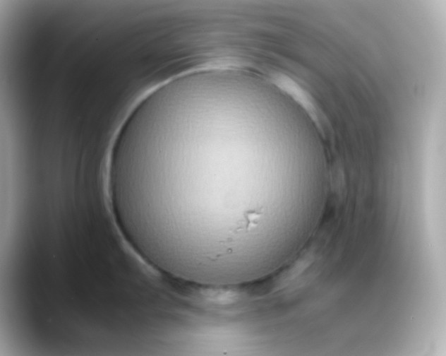 X0000088401103200706051131