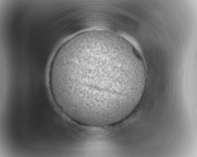 X0000088401104200706051131