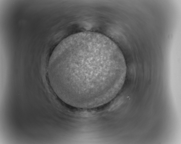 X0000088401105200706051131