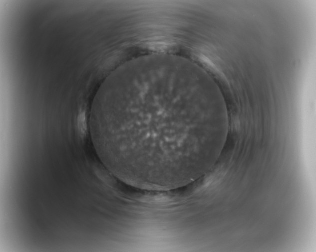 X0000088401106200706051131