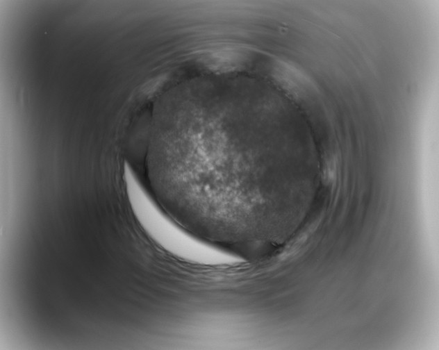 X0000088401108200706051131