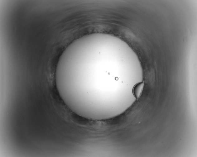 X0000088401109200706051131