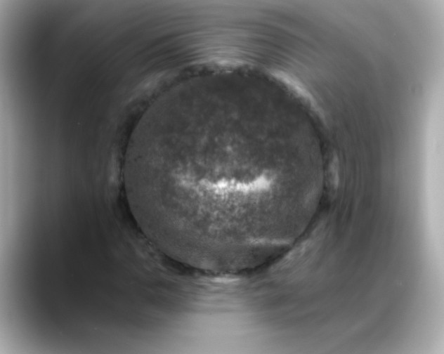 X0000088401110200706051131