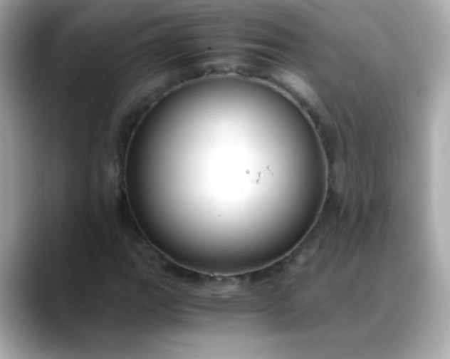 X0000088401111200706051131