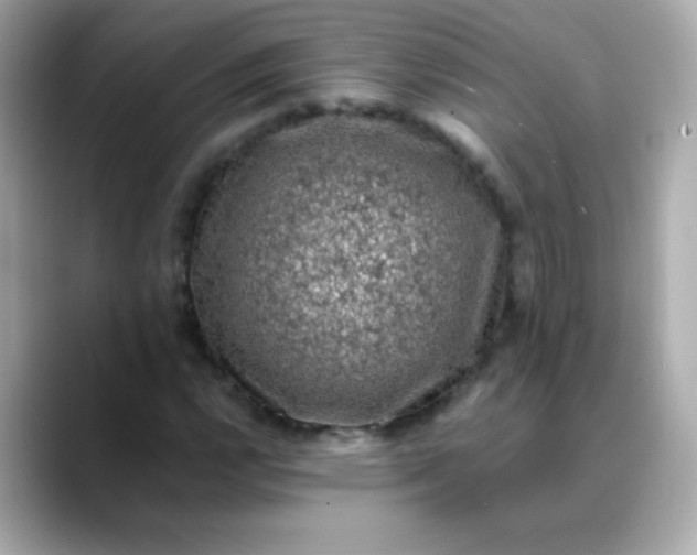 X0000088401112200706051131